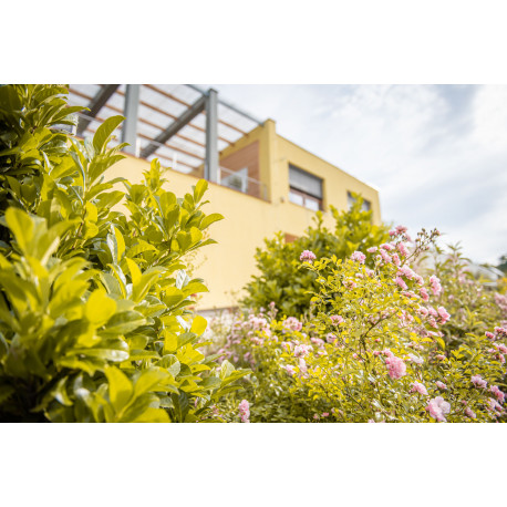 Lesk a bída zemědělství