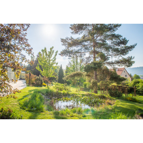 Sociální hierarchie a život člověka