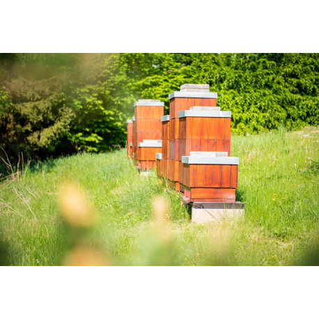 Úvod do etologie a behaviorálních věd